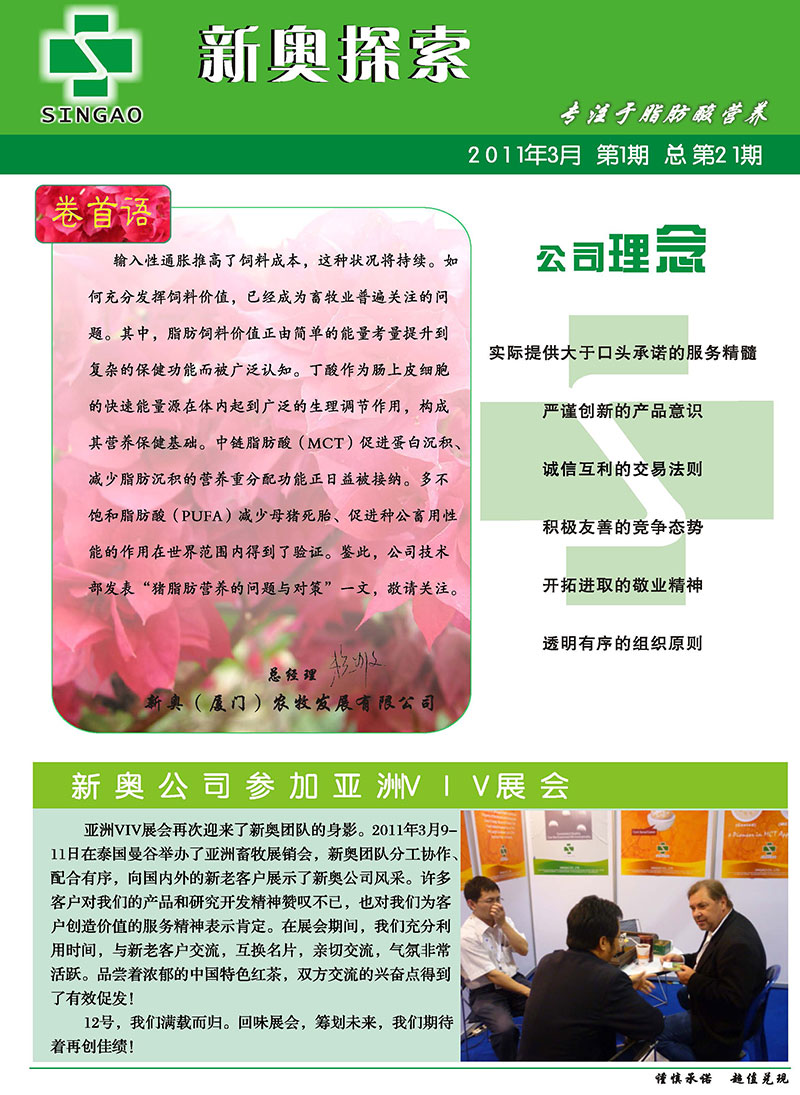 2025精准资料免费大全与2025新澳精准正版免費資料全面释义、解释与落实与警惕虚假宣传